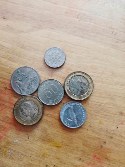 外国硬币（第二期）久等了 - 外币