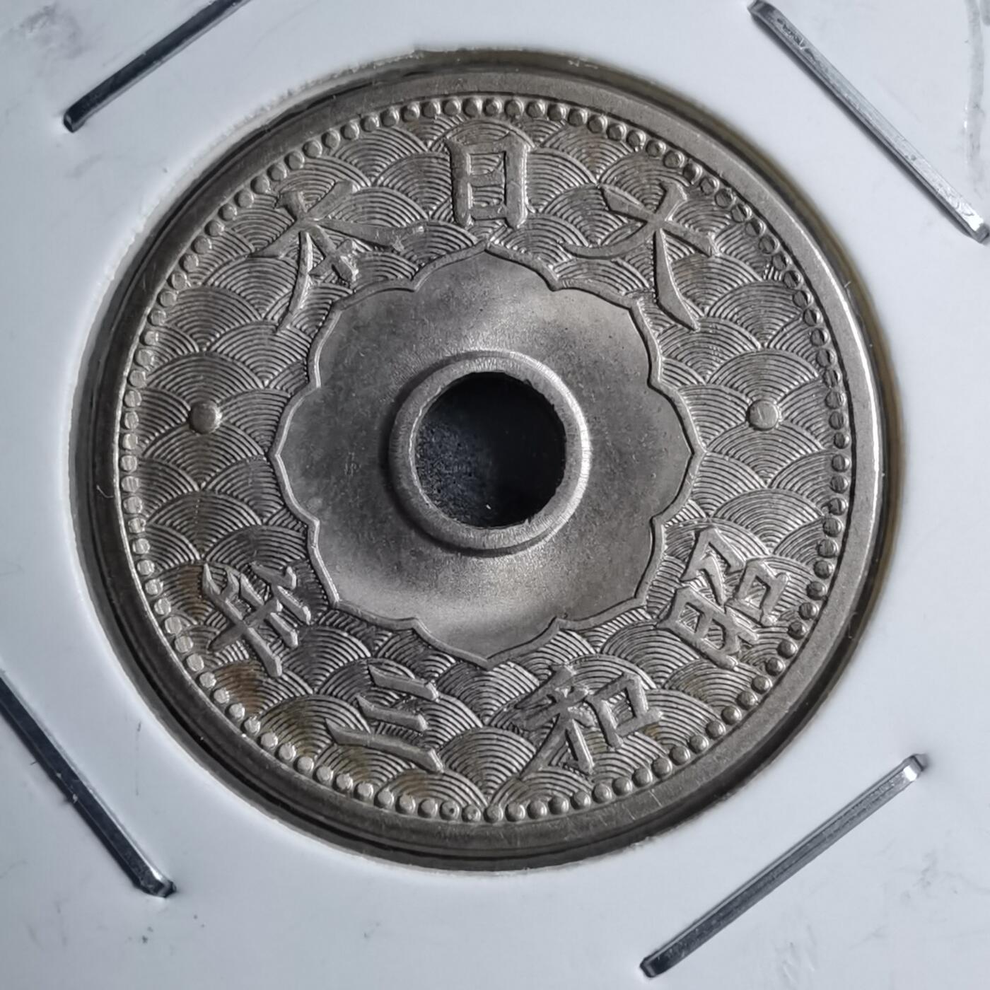 沼泽如烟--第891场