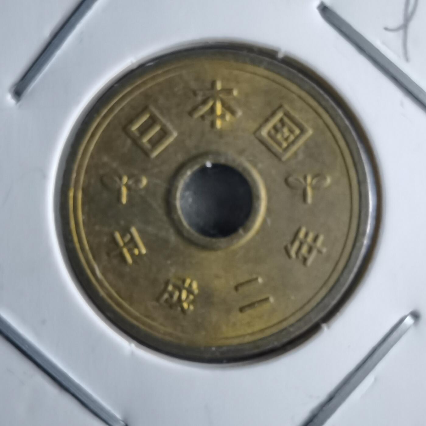 沼泽如烟--第891场