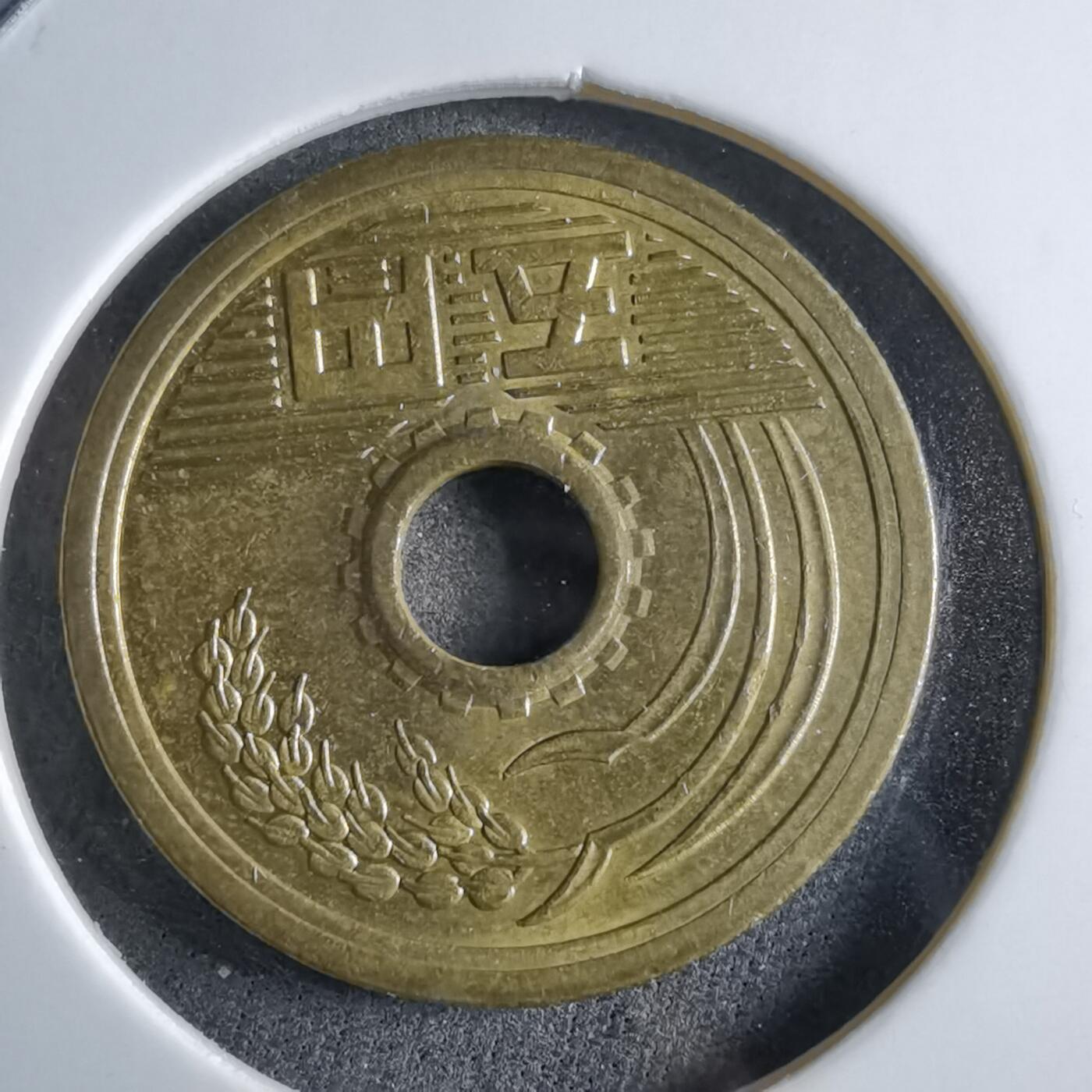 沼泽如烟--第891场