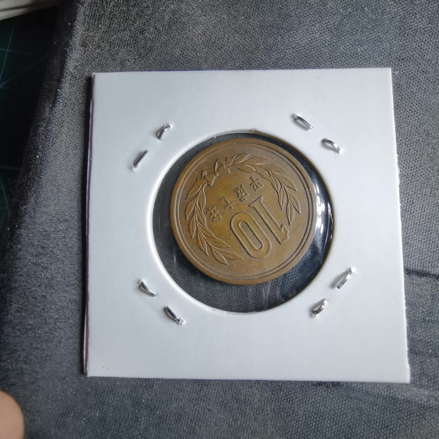 沼泽如烟--第891场