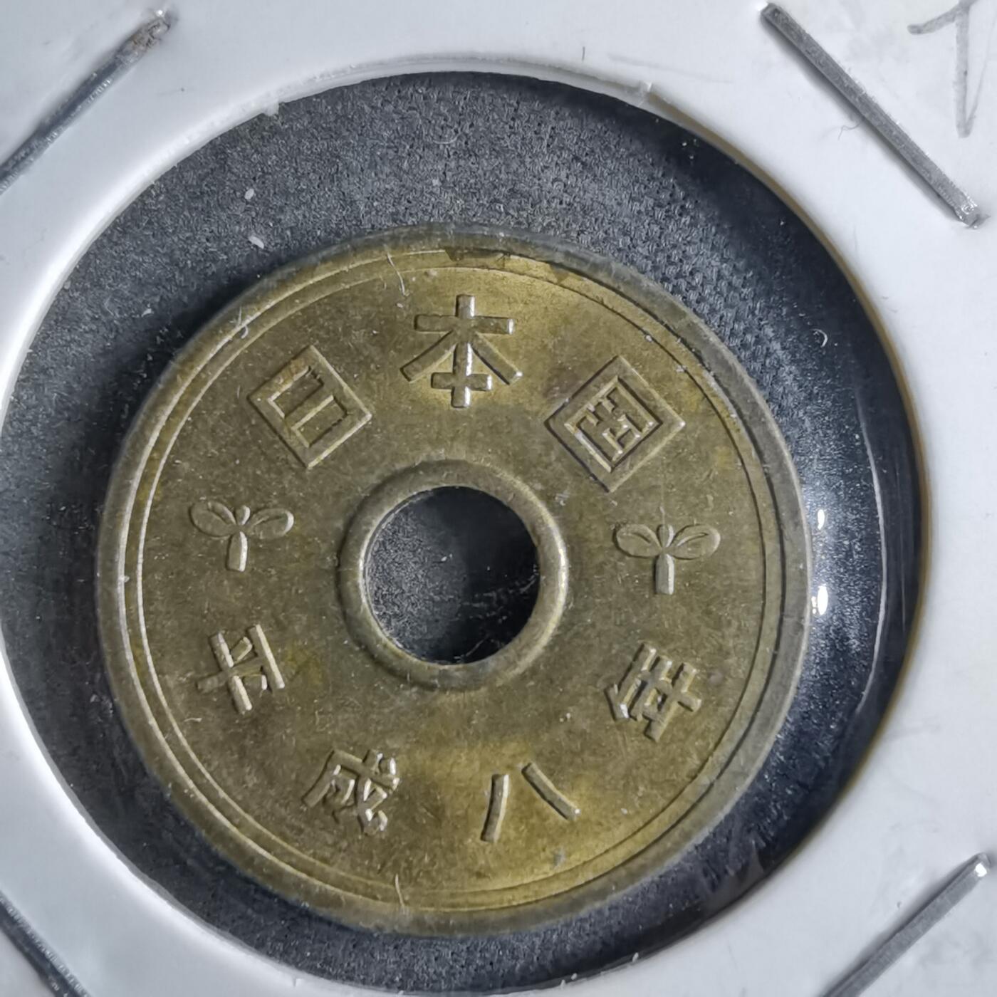 沼泽如烟--第891场