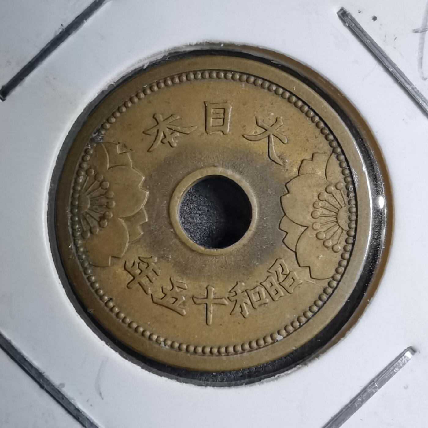 沼泽如烟--第891场