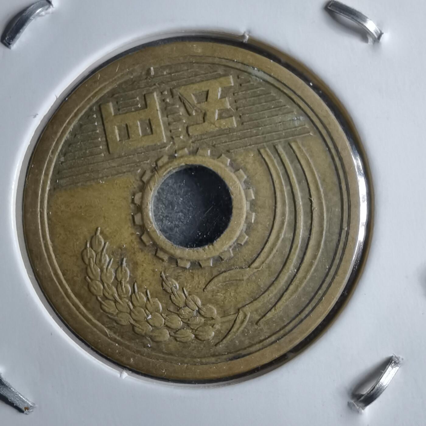 沼泽如烟--第891场