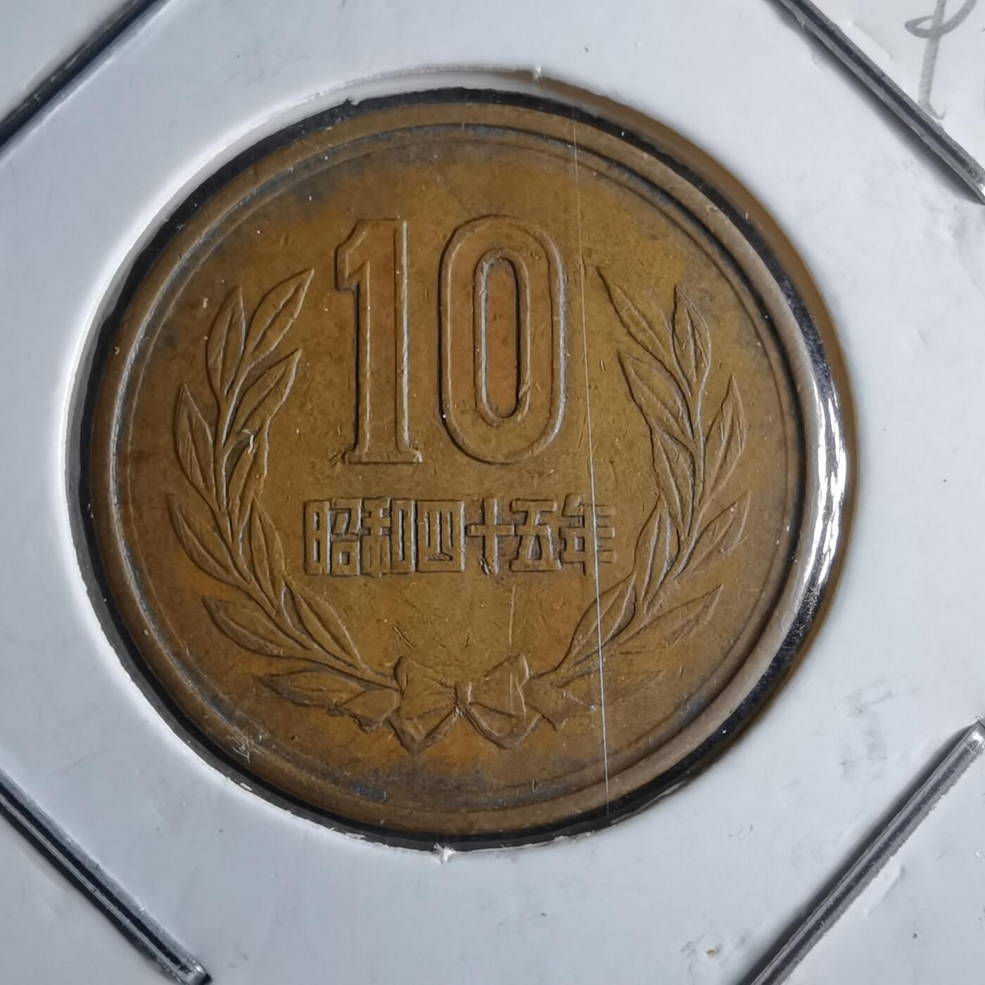 沼泽如烟--第891场