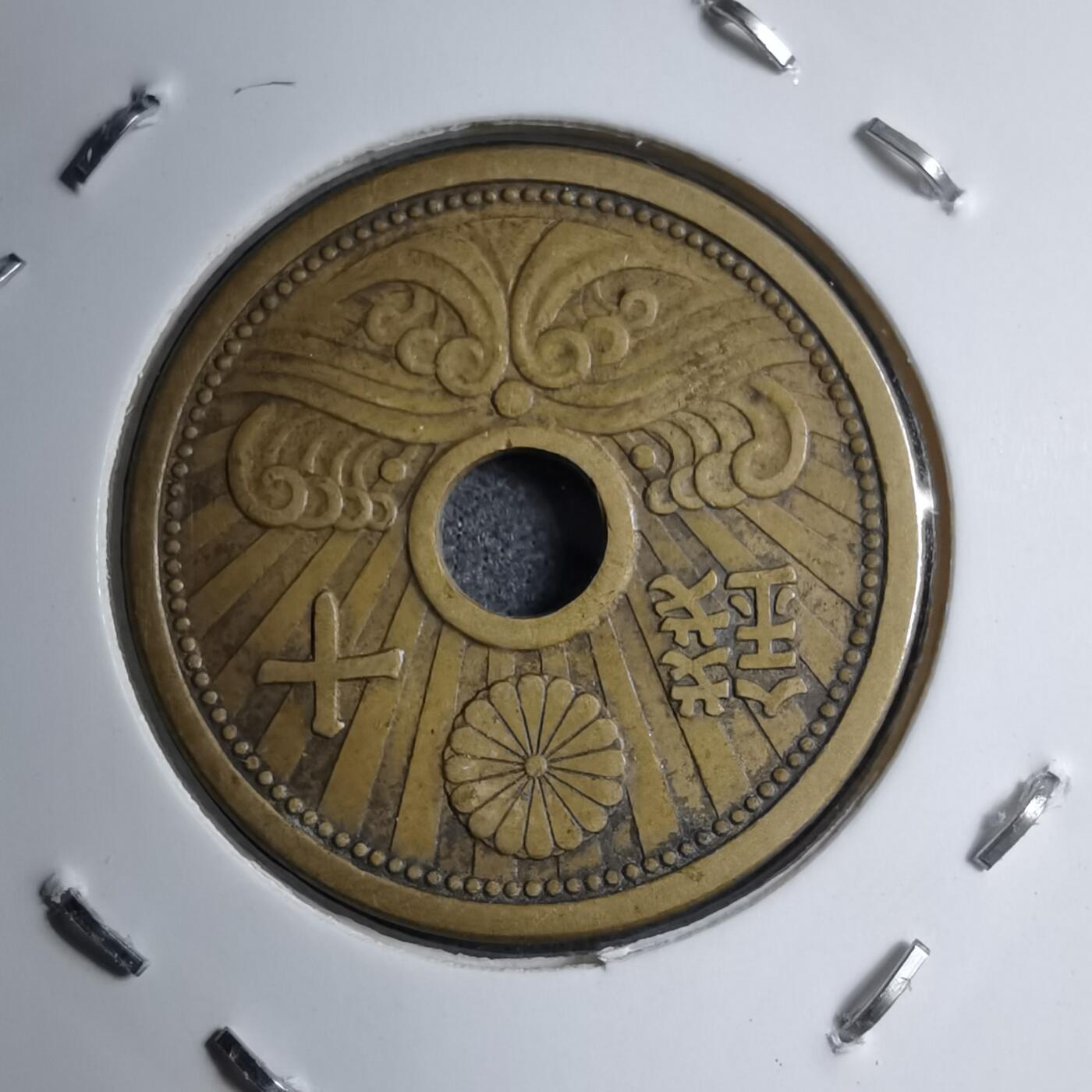 沼泽如烟--第891场