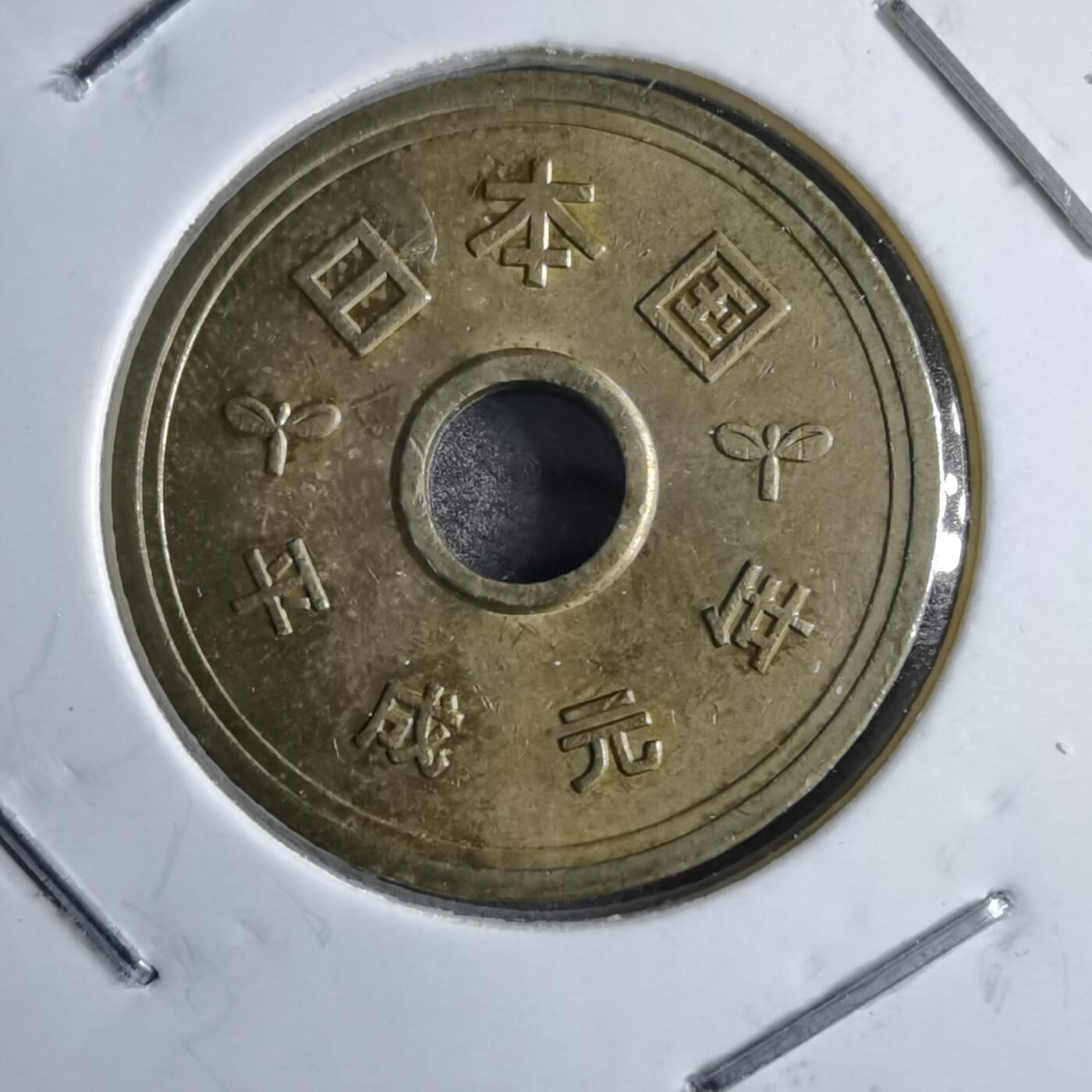 沼泽如烟--第891场