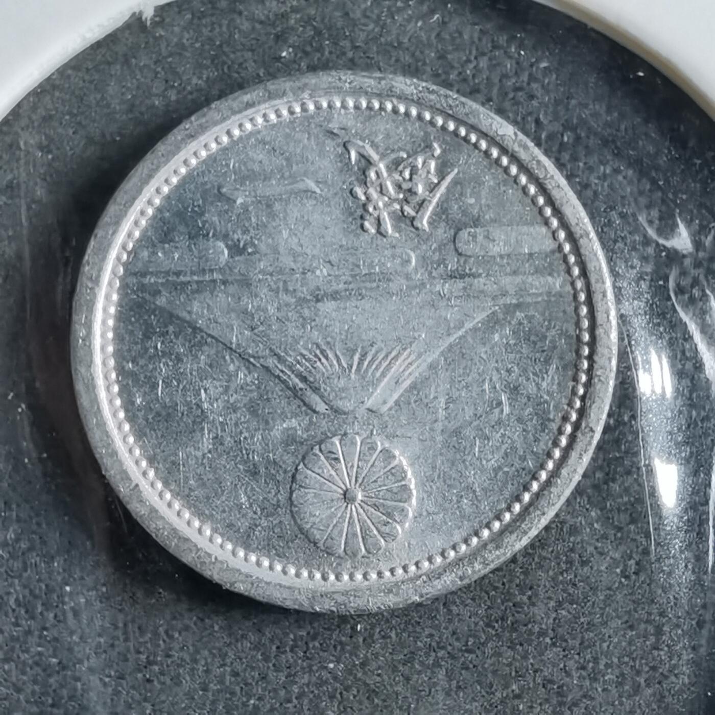 沼泽如烟--第891场