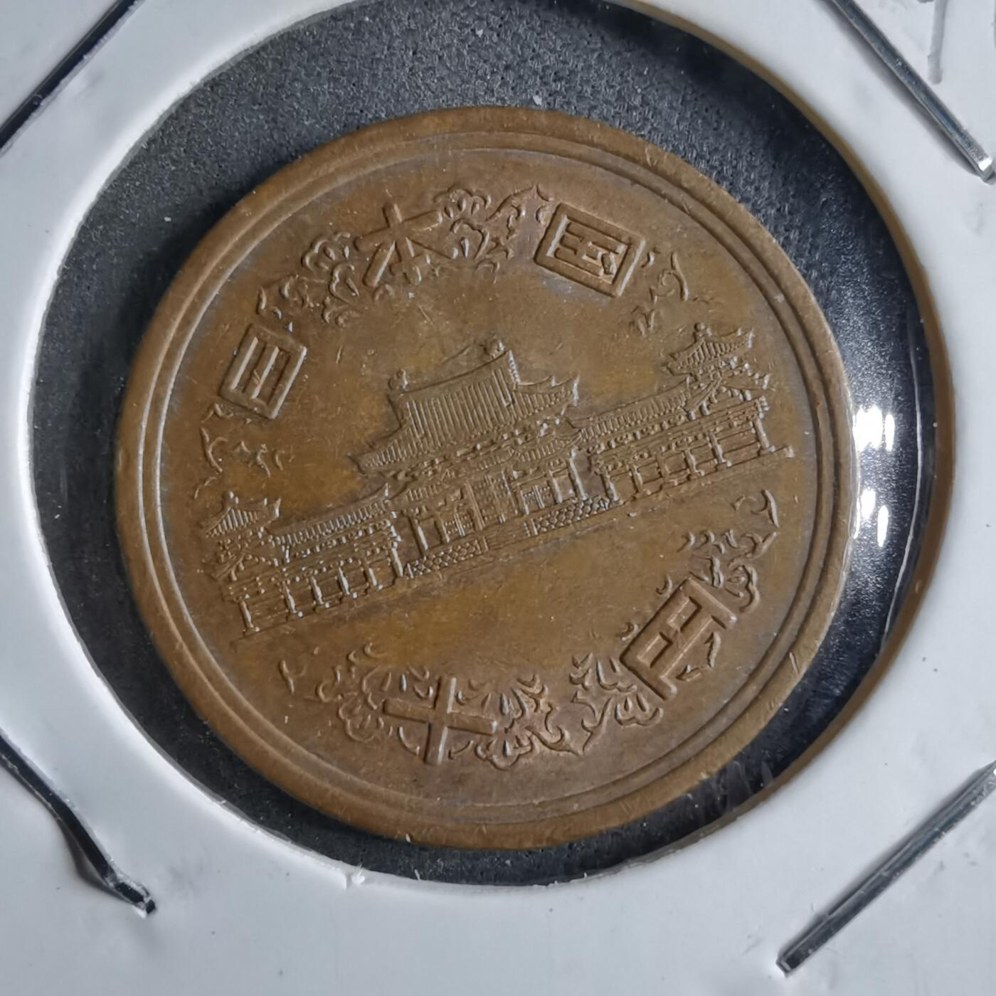 沼泽如烟--第891场