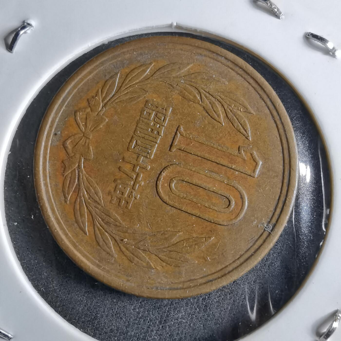 沼泽如烟--第891场