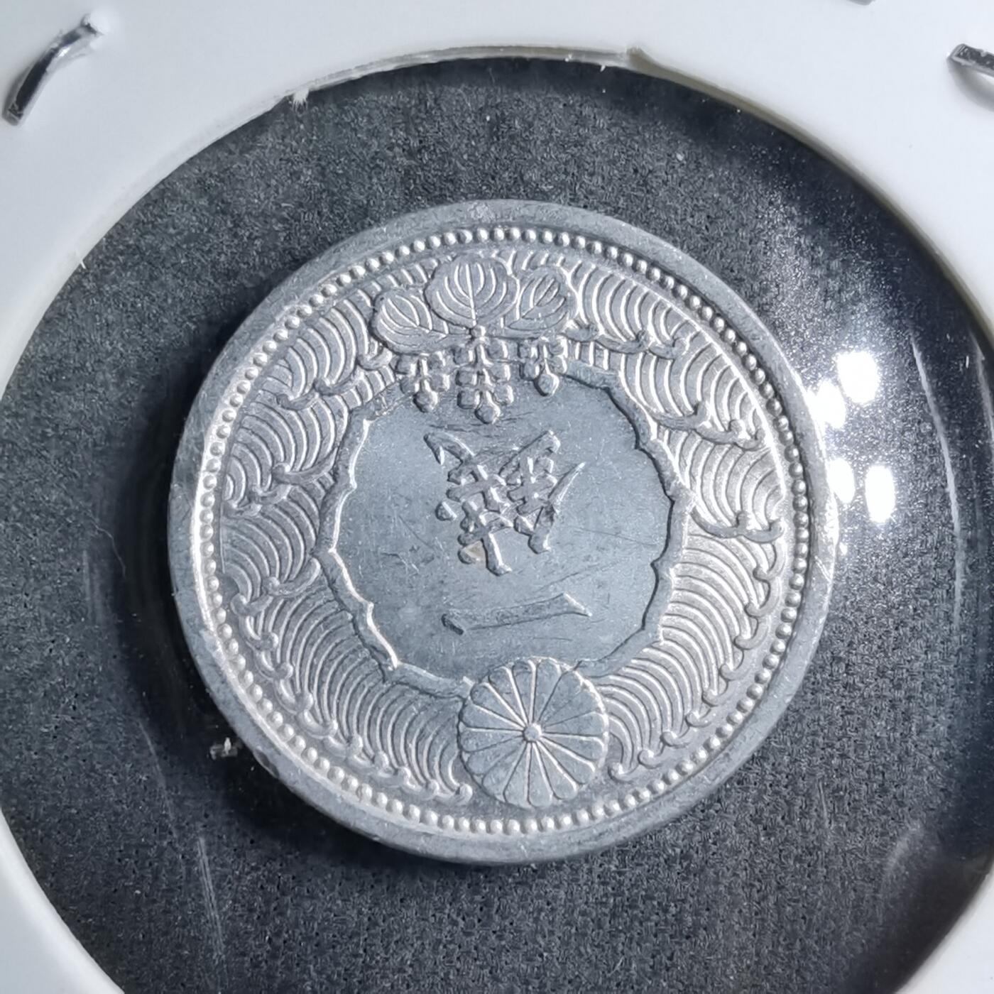 沼泽如烟--第891场