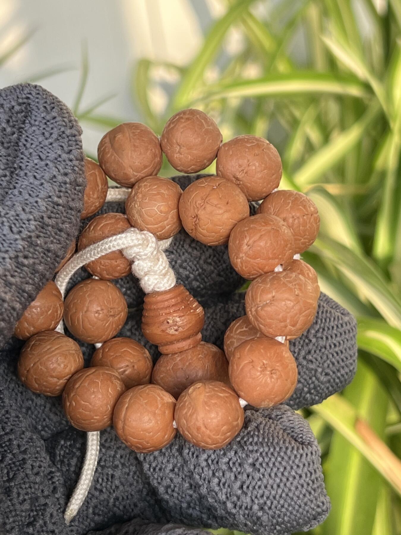 零元拍：NO.5凤眼单仓（媲美铁籽）大眼萌12MM左右念珠手串，今年新籽，皮质超棒。