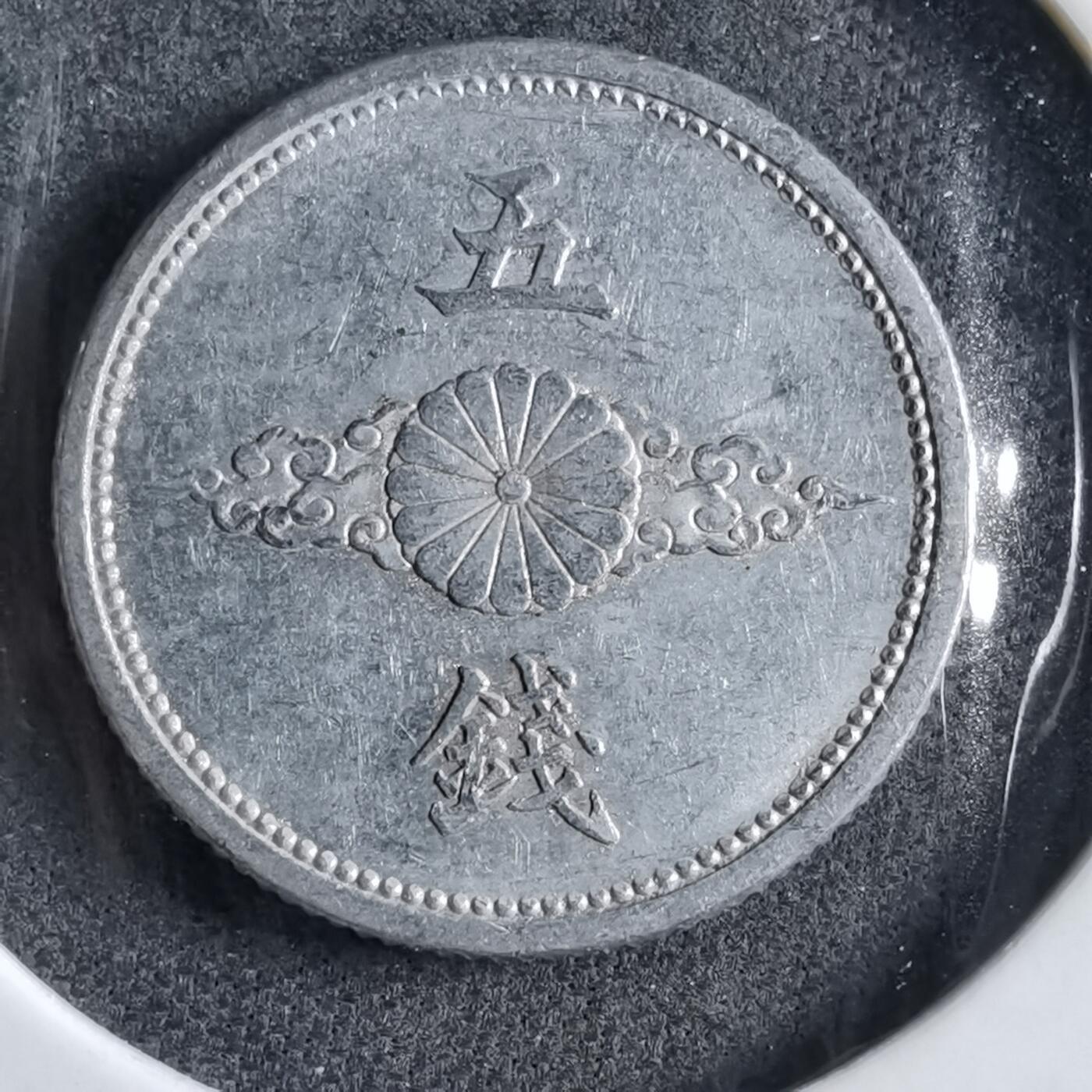 沼泽如烟--第891场