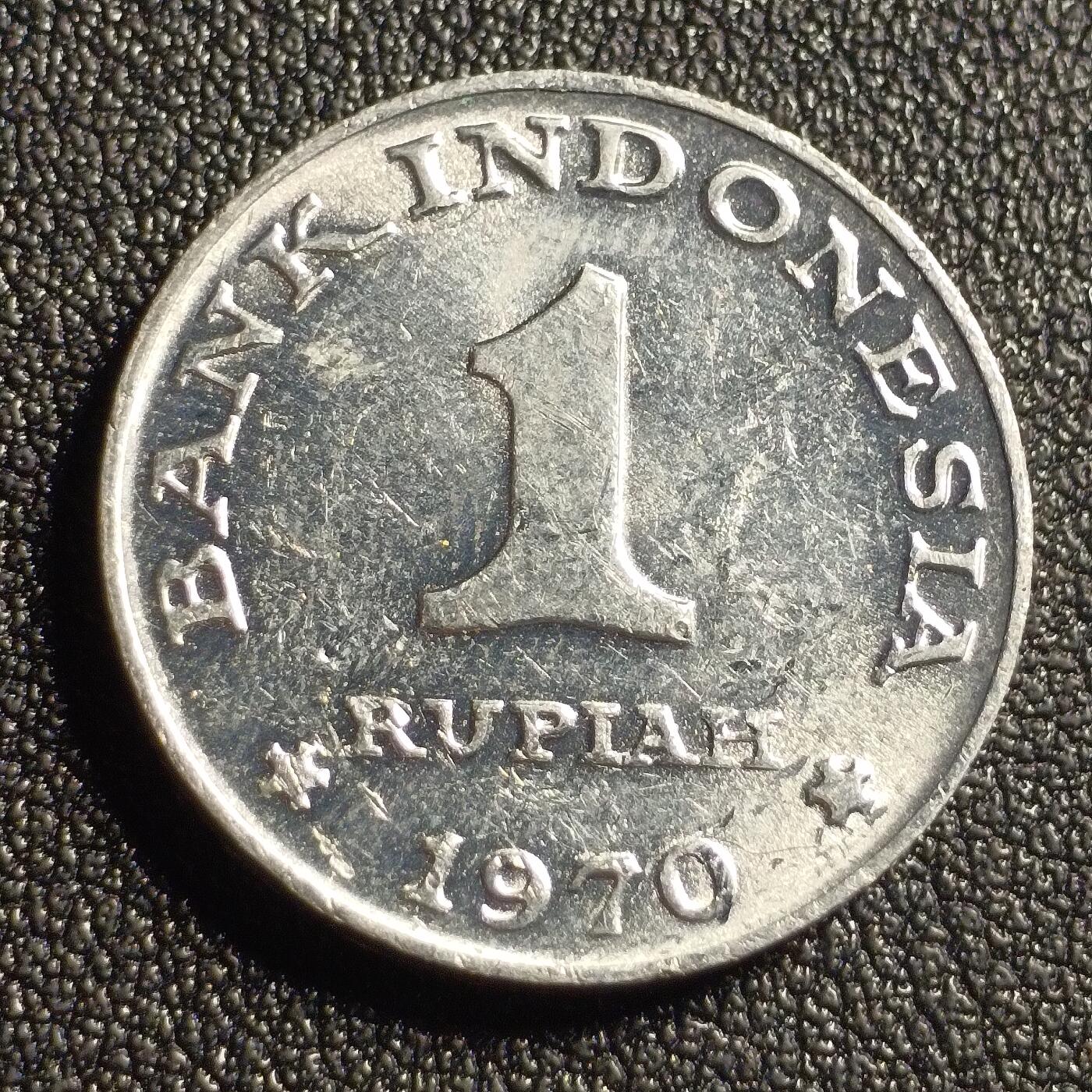 泉币菌-第127场-精品福利场(115场之后的本周末发货，感谢理解) 。