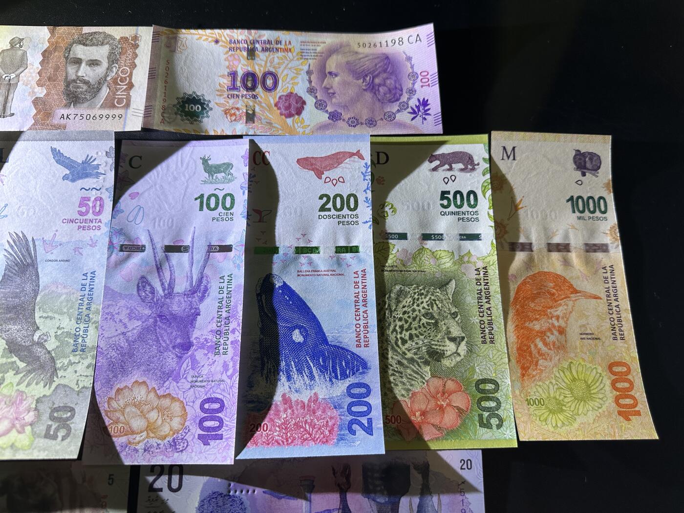 《外钞收藏家》第五百八十二期（精品场）（本平台长期征集拍品、欢迎藏友们联系合作） 马尔代夫小面额5张+阿根廷1套6张+阿根廷100+哥伦比亚狮子号9999一起 全新UNC