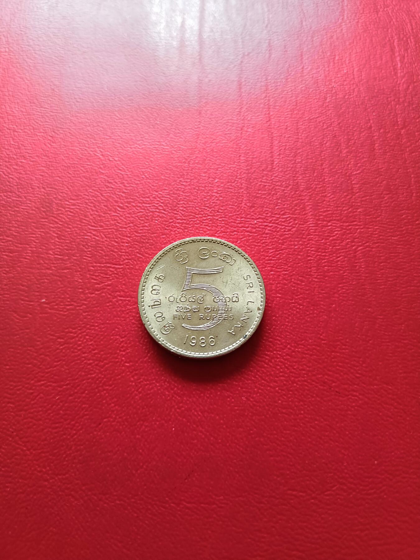 【云涧收藏】第七十七场