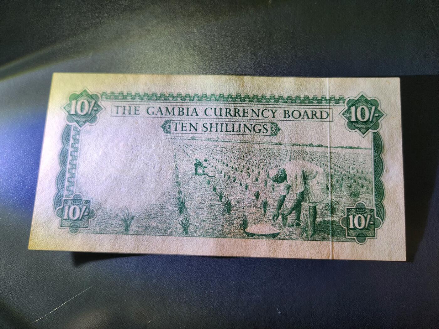 11月8号晚上8点 外国纸币自动截拍第53场