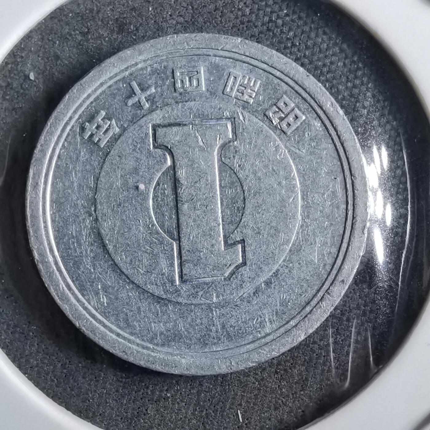 沼泽如烟--第891场