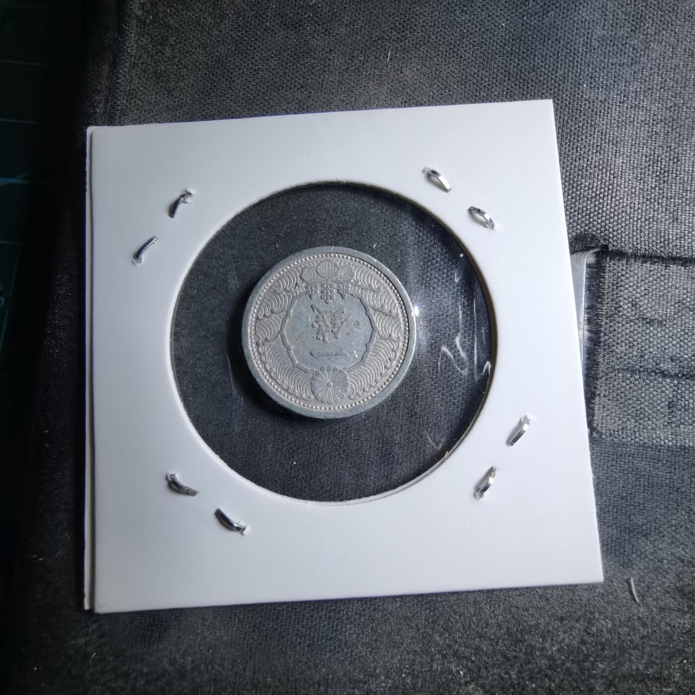 沼泽如烟--第891场