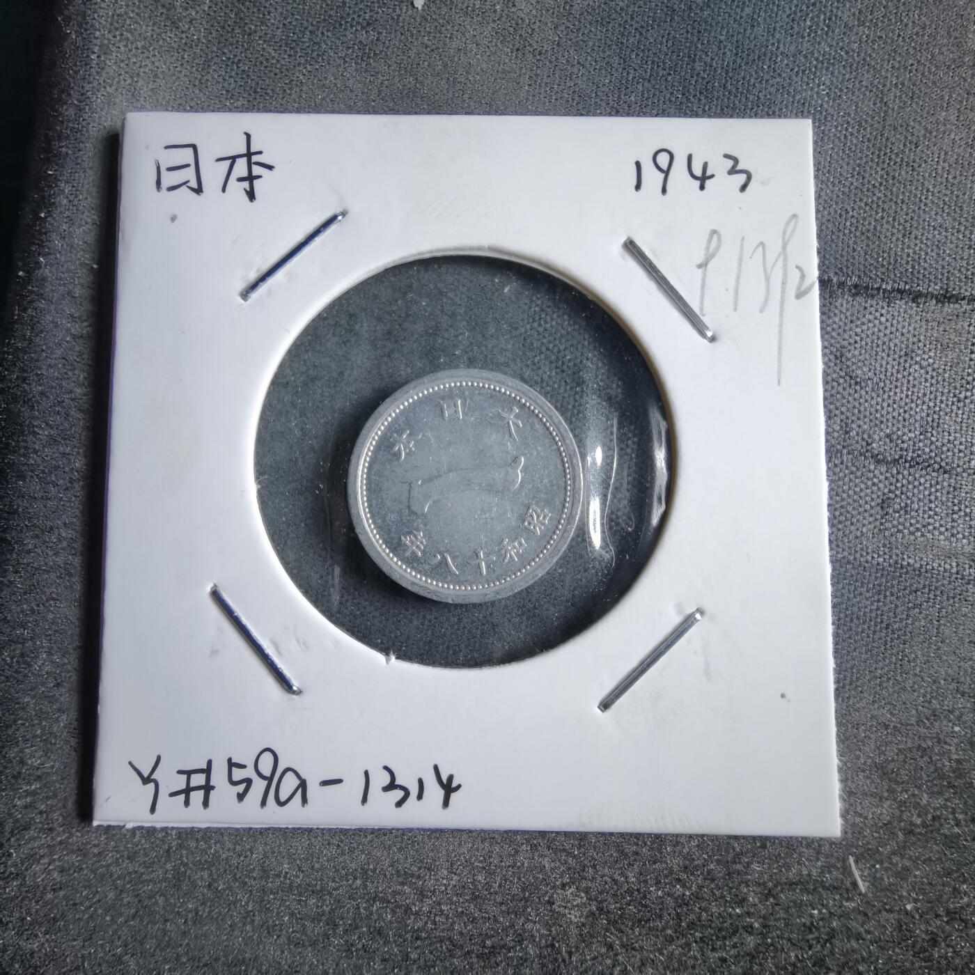 沼泽如烟--第891场