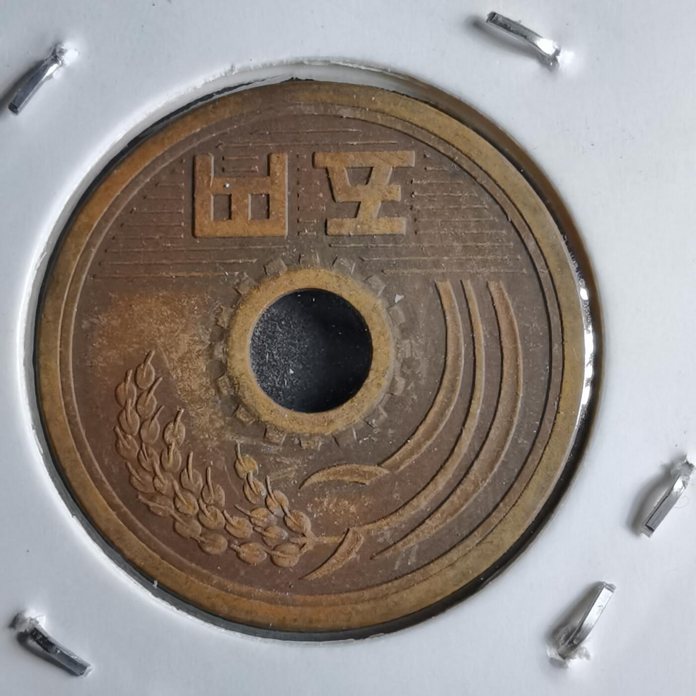 沼泽如烟--第891场