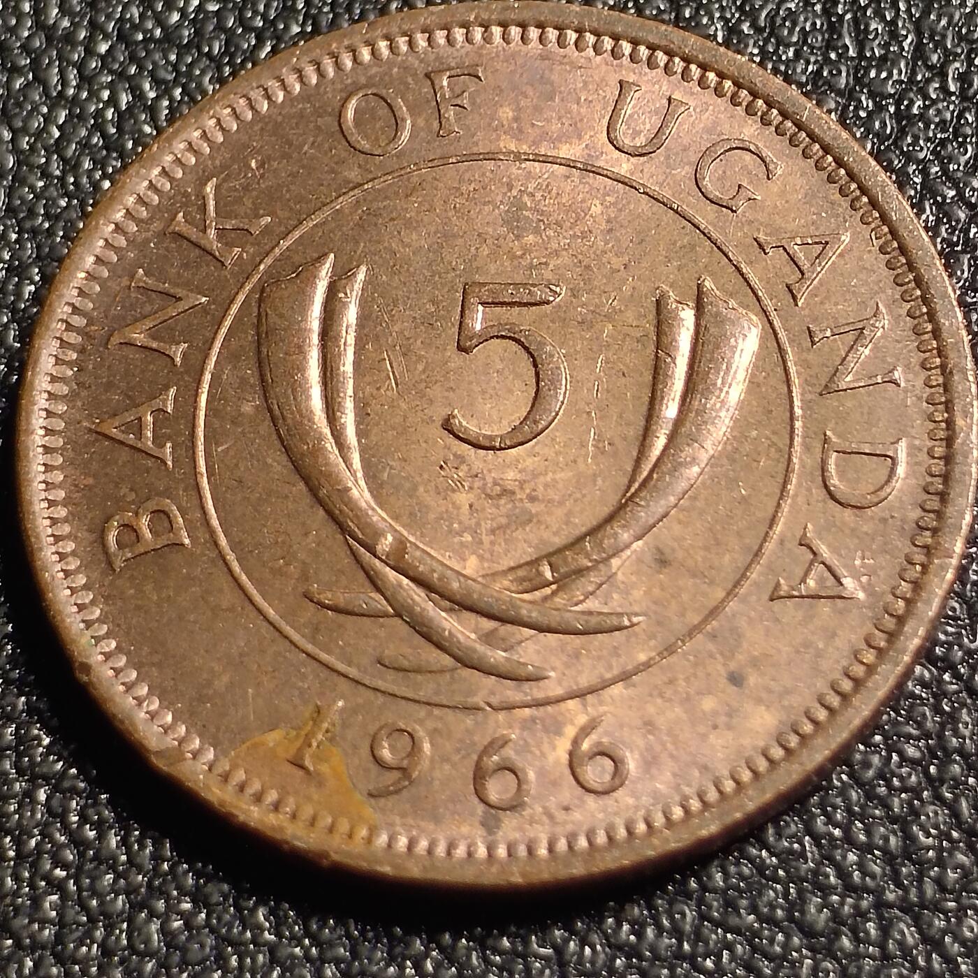 泉币菌-第128场-精品福利场(115场之后的本周末发货，感谢理解) 。