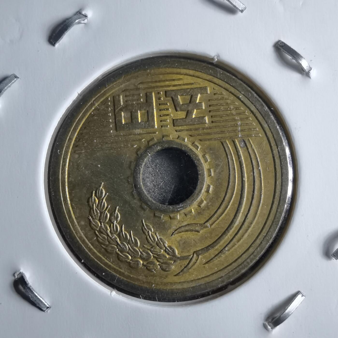 沼泽如烟--第891场