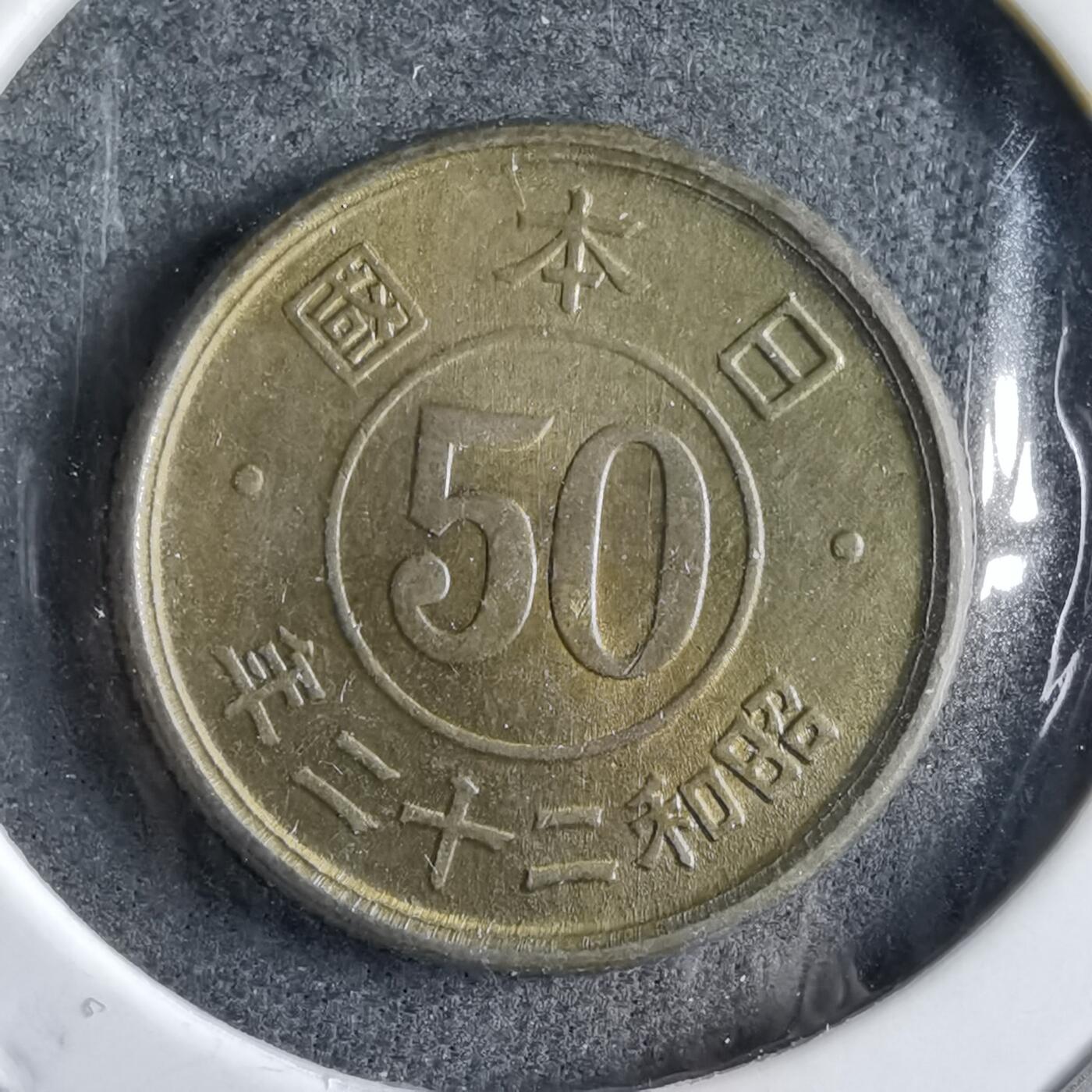 沼泽如烟--第891场