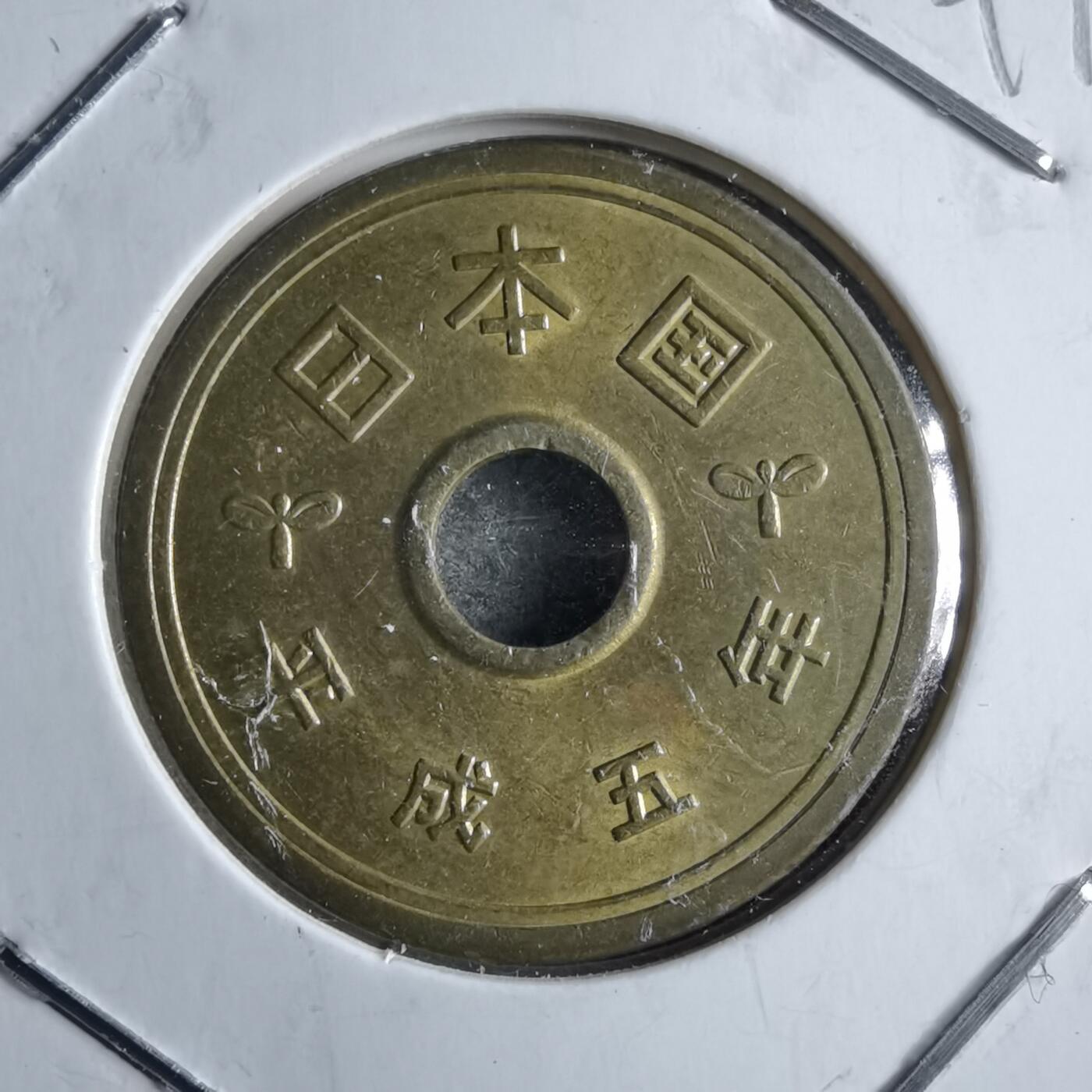 沼泽如烟--第891场