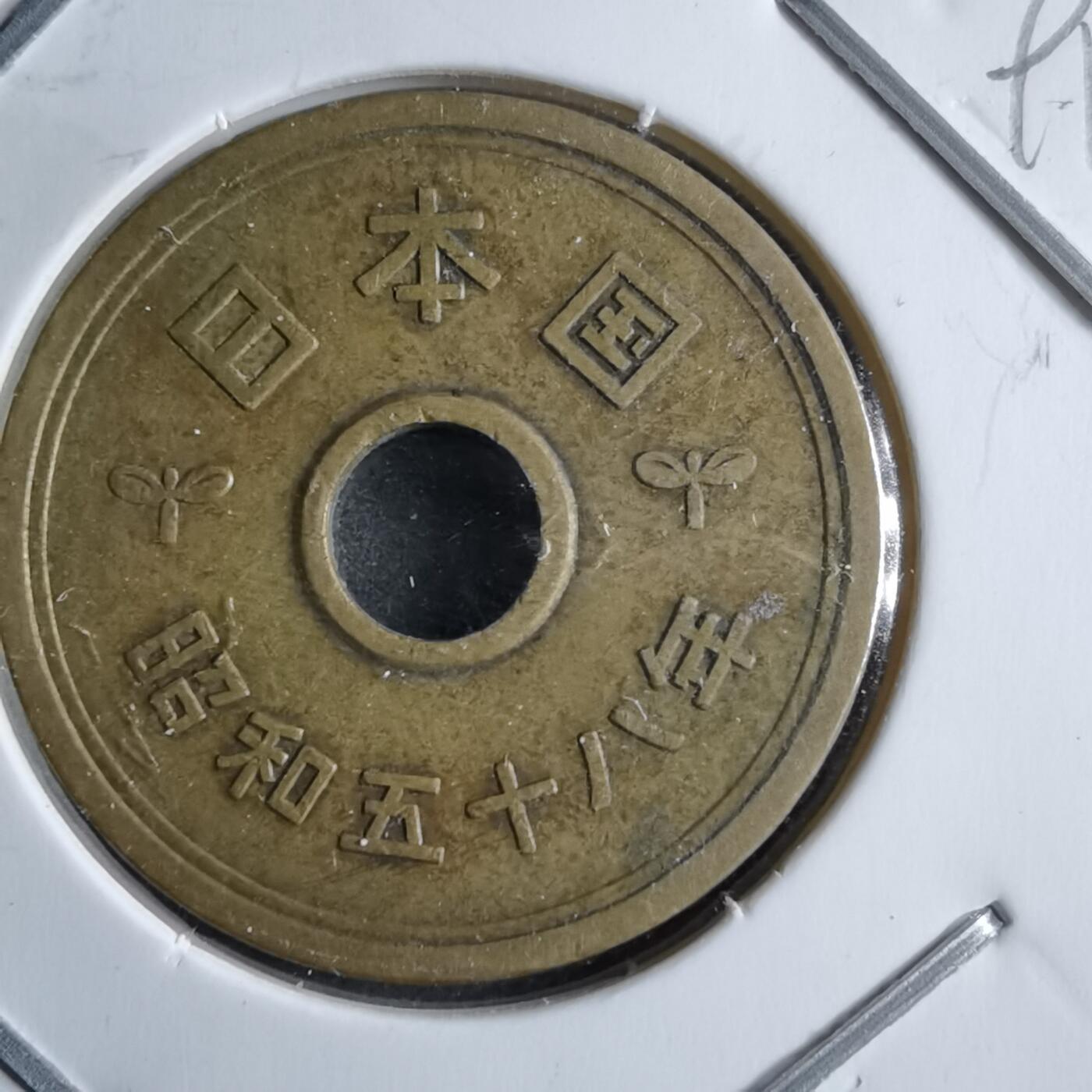 沼泽如烟--第891场