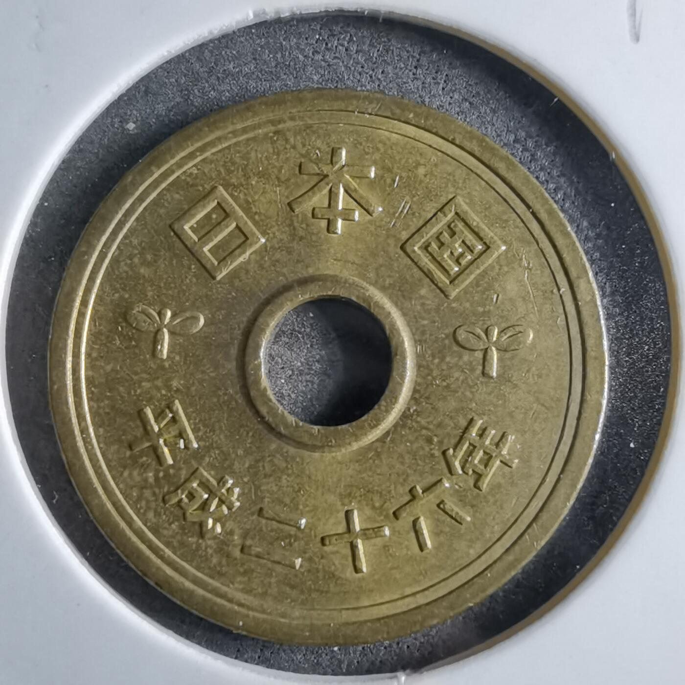 沼泽如烟--第891场