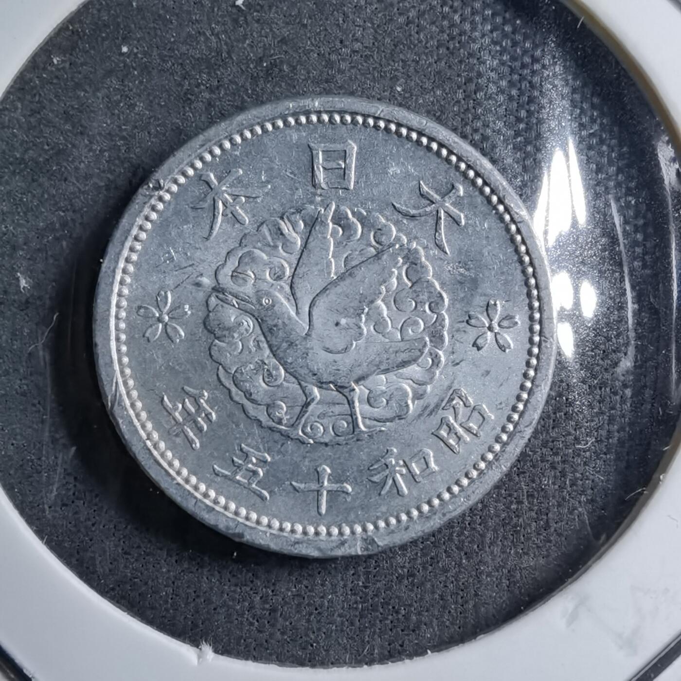 沼泽如烟--第891场