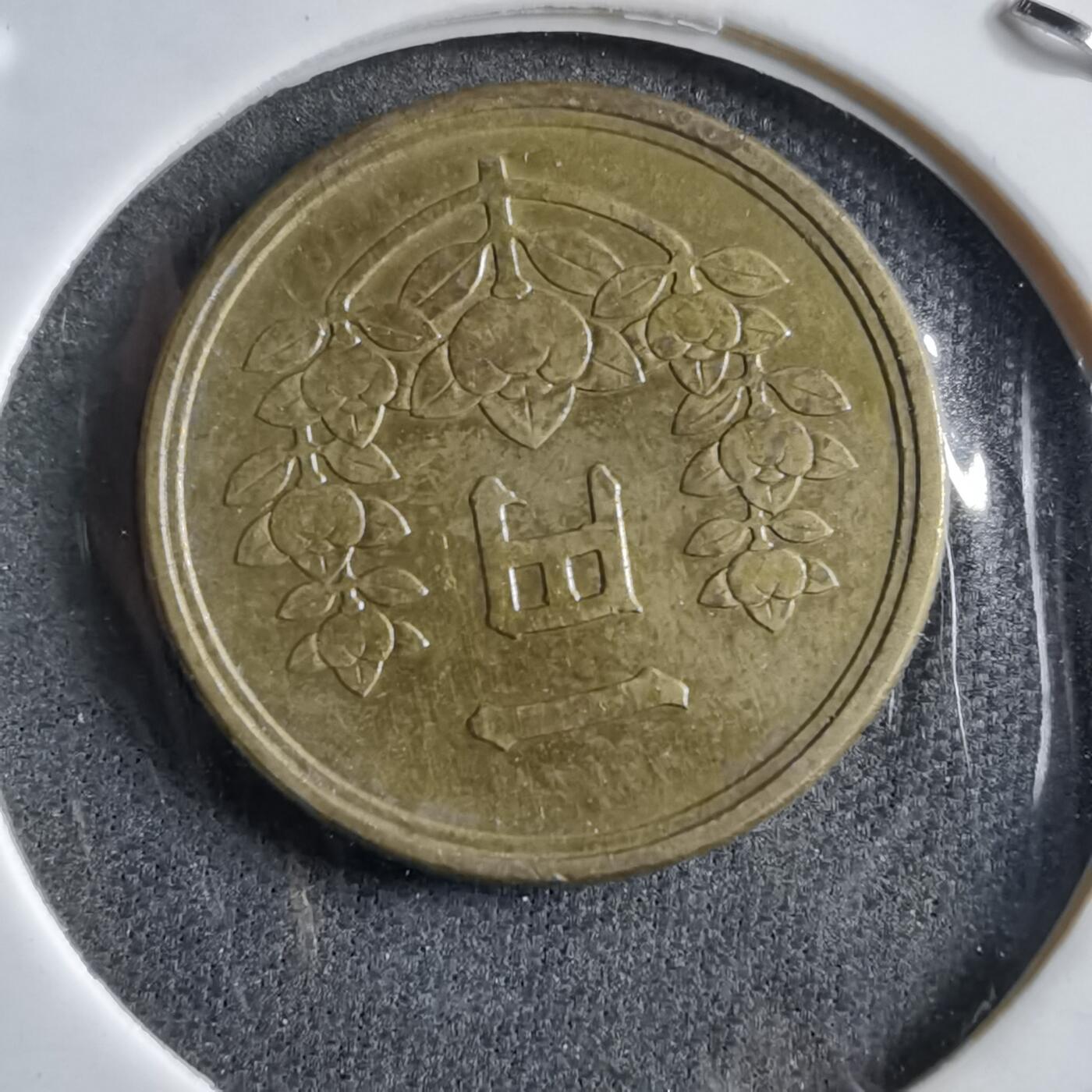 沼泽如烟--第891场