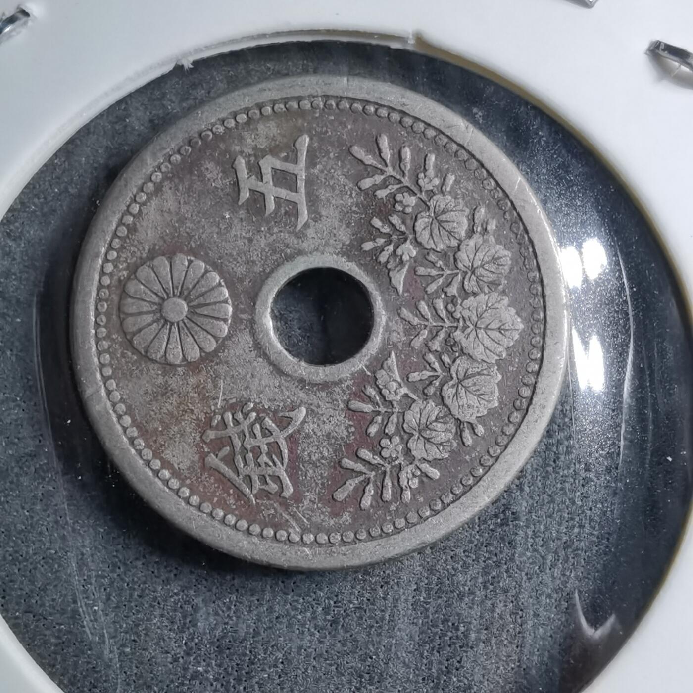 沼泽如烟--第891场