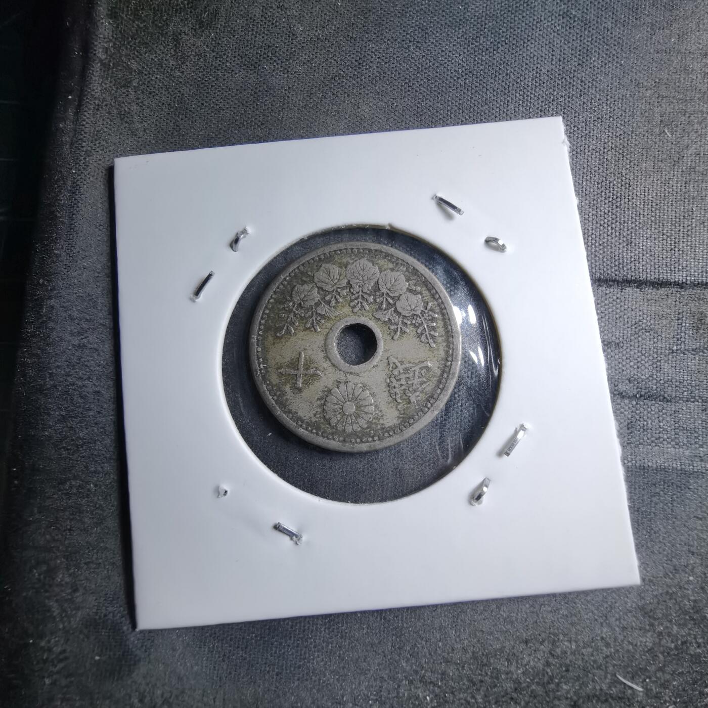 沼泽如烟--第891场