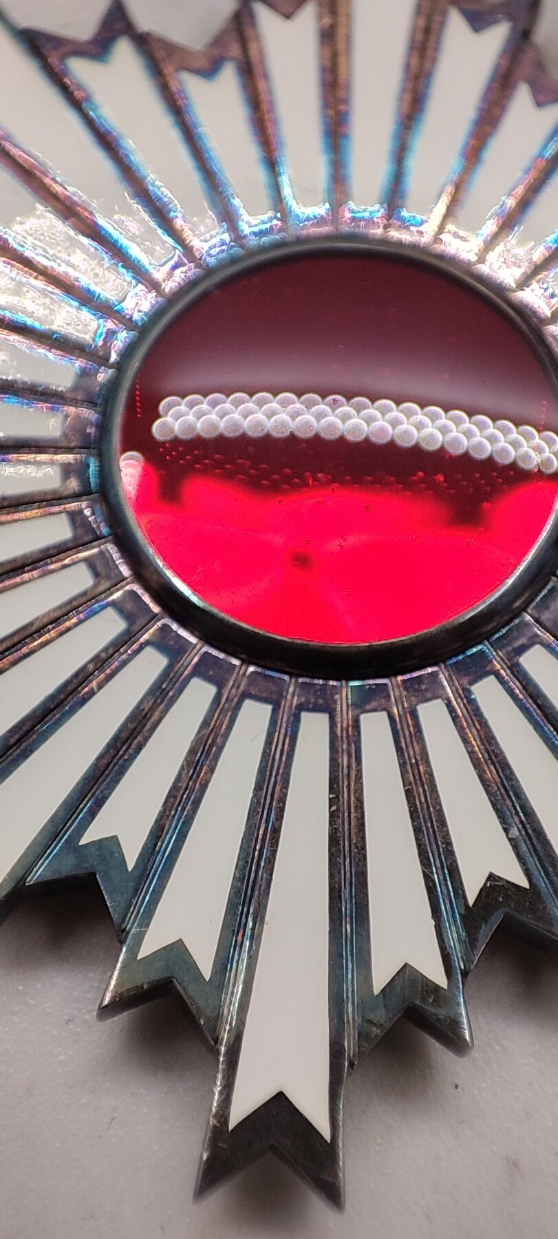 红色经典收藏拍卖专场第29期 勿忘国耻勿忘历史  六等单光旭日章  银质 带原盒略章 七宝烧完好无损