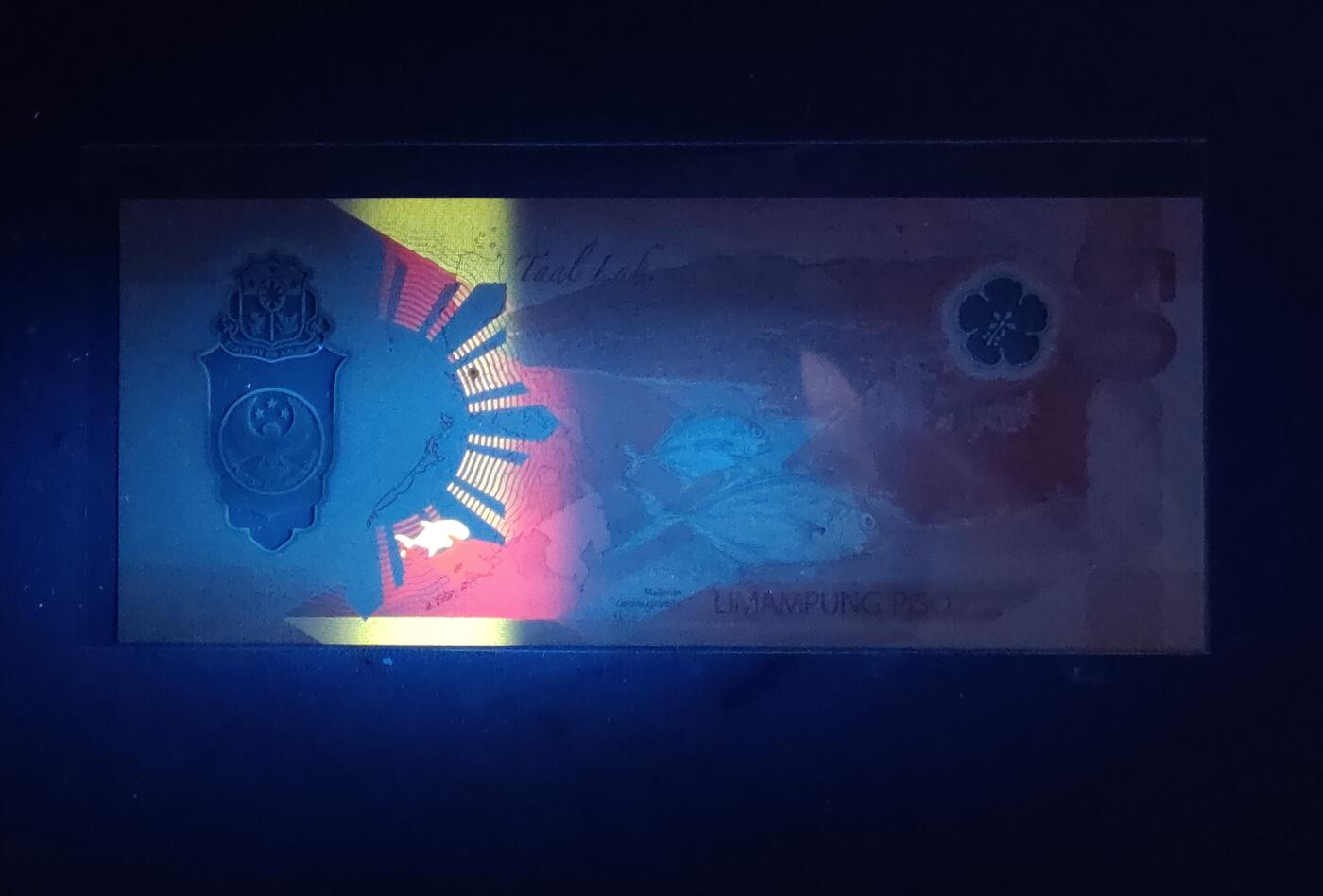 中外各国钞、纪念钞、券专场（第三十二场） 2025年50比索塑料钞  菲律宾动物豹子 亚洲全新（爱情号）