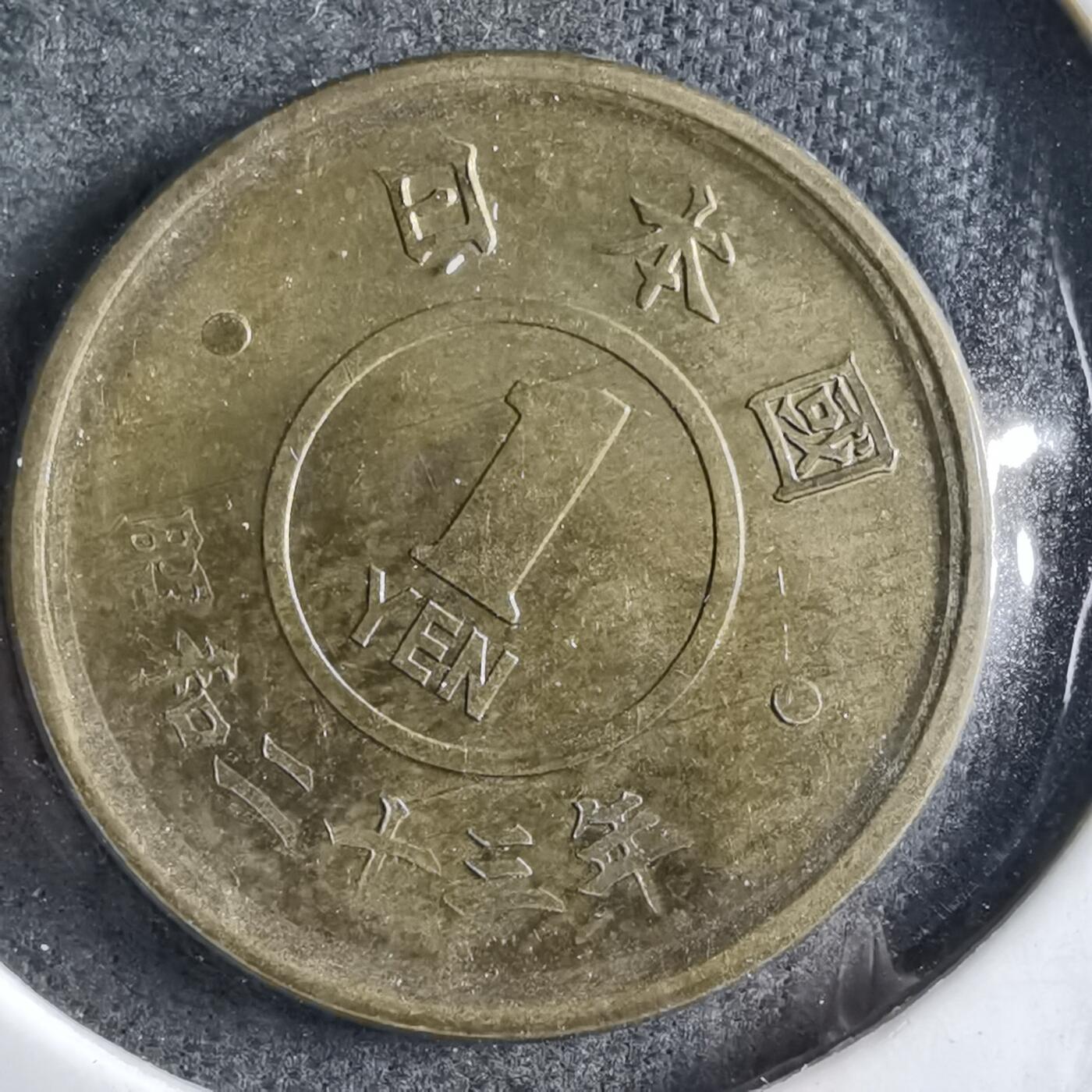 沼泽如烟--第891场