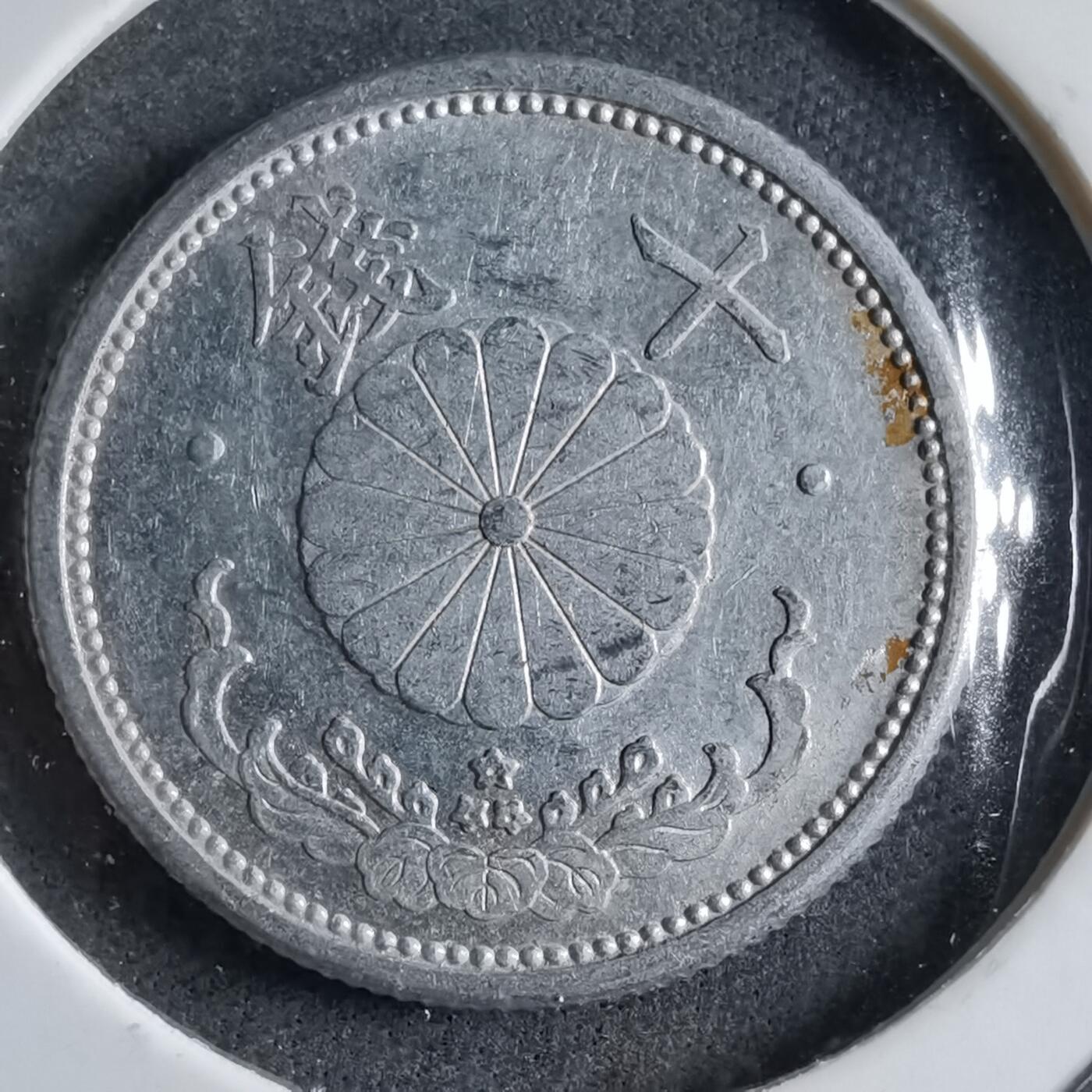 沼泽如烟--第891场