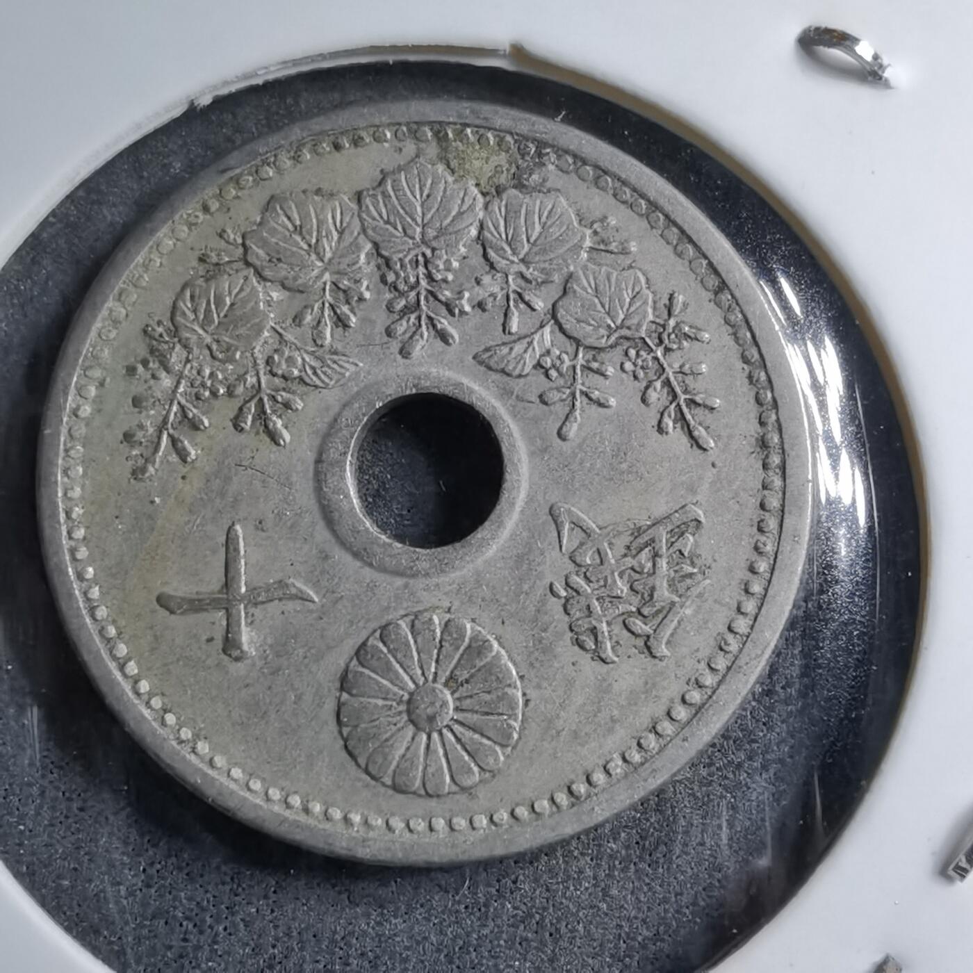 沼泽如烟--第891场