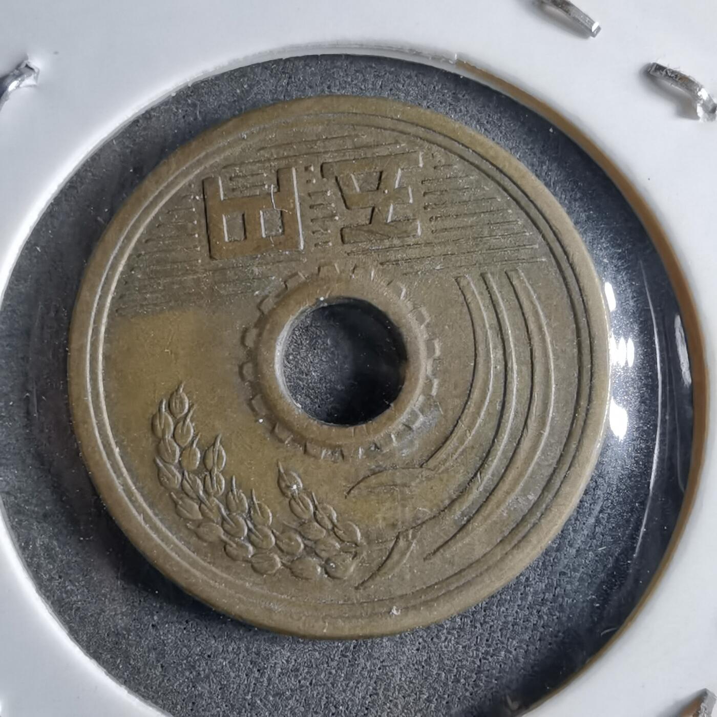 沼泽如烟--第891场