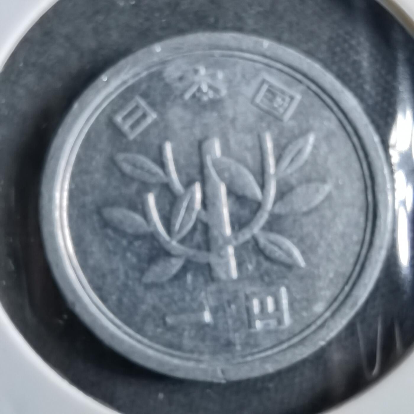 沼泽如烟--第891场