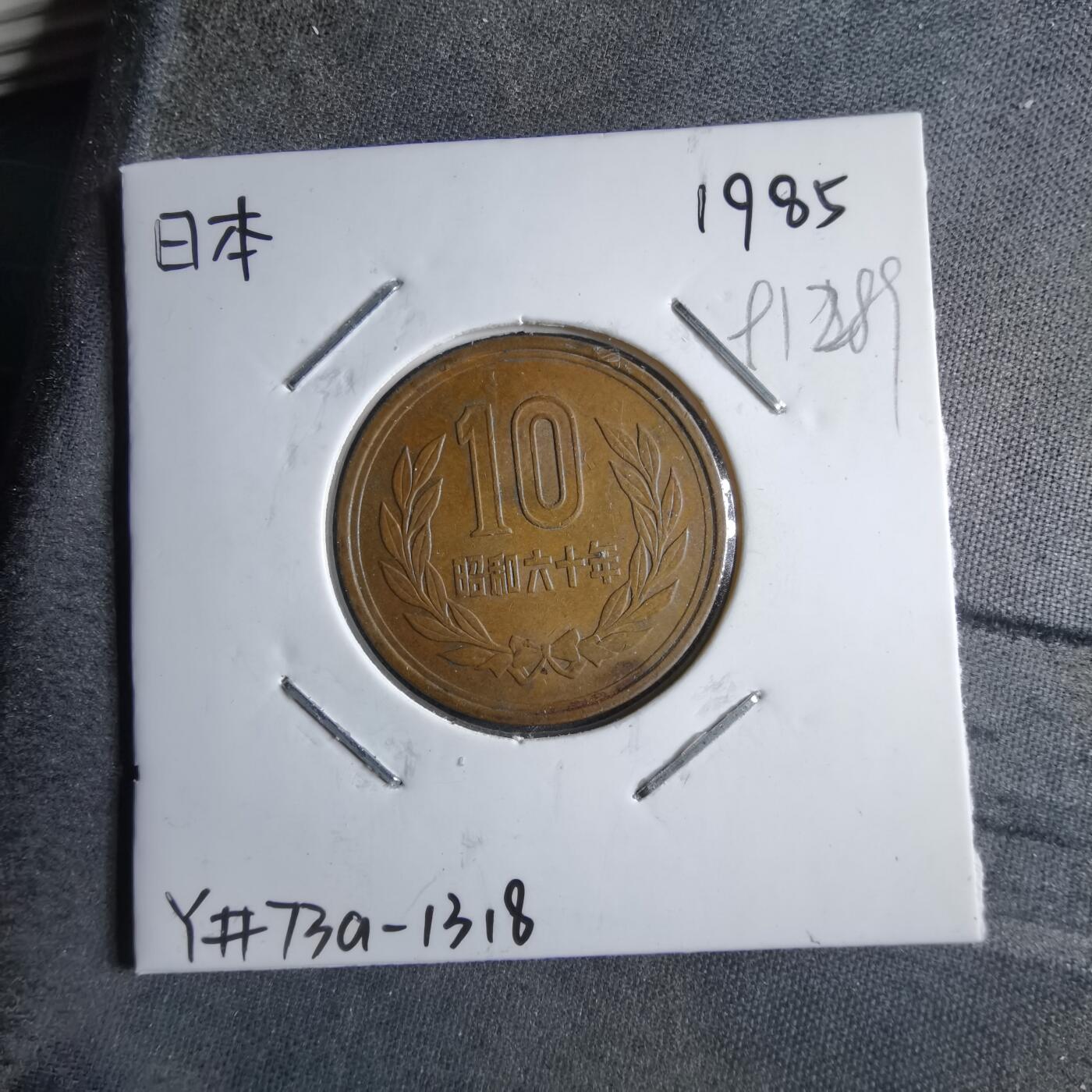 沼泽如烟--第891场