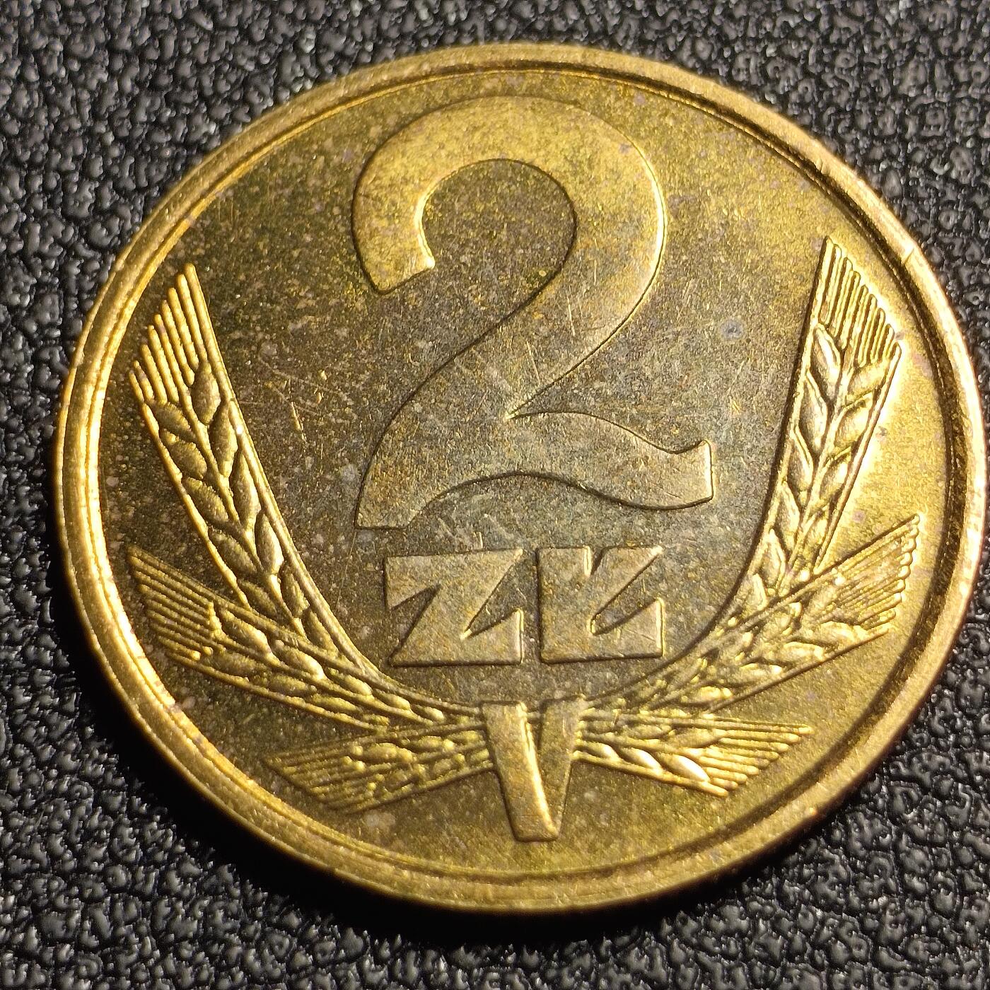 泉币菌-第128场-精品福利场(115场之后的本周末发货，感谢理解) 。