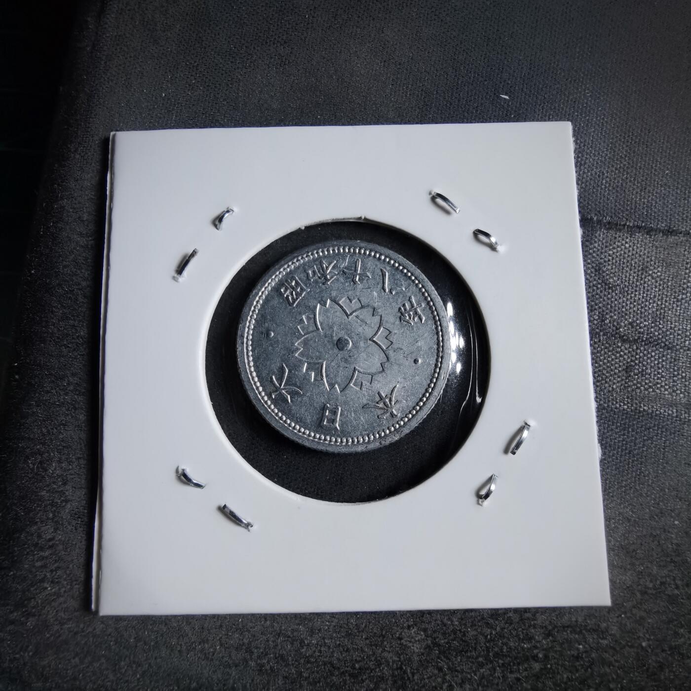 沼泽如烟--第891场