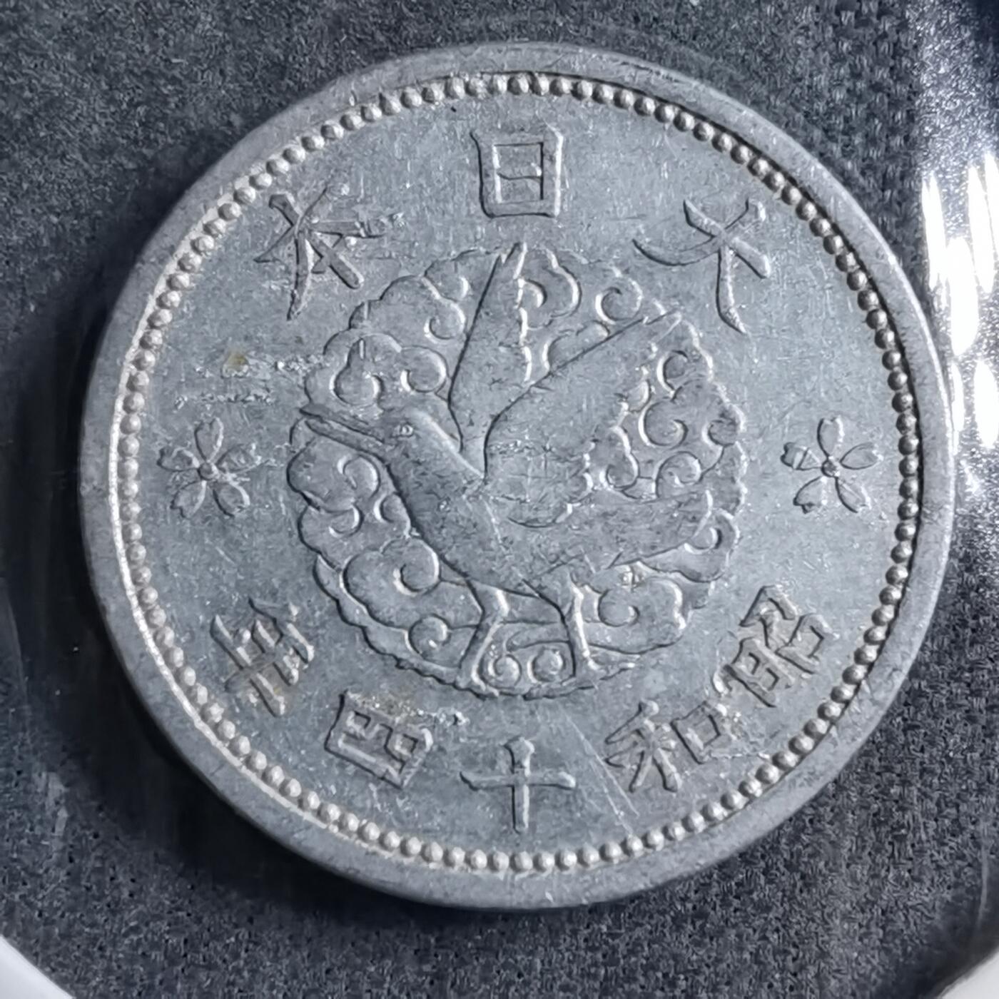 沼泽如烟--第891场