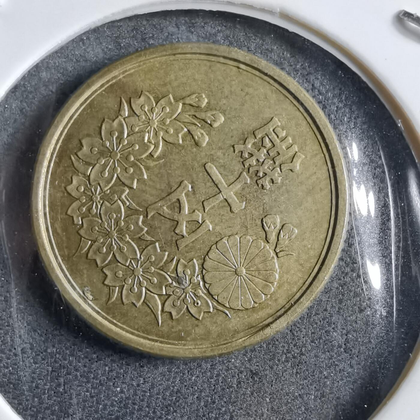 沼泽如烟--第891场