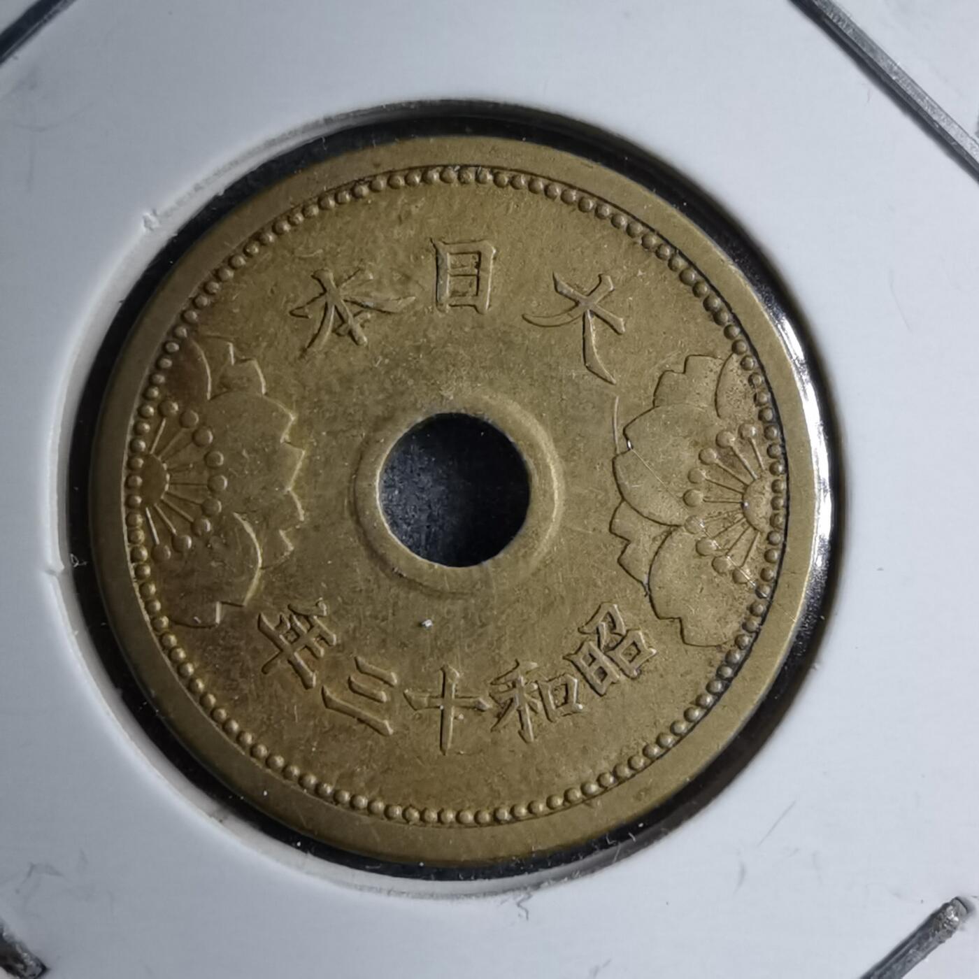 沼泽如烟--第891场