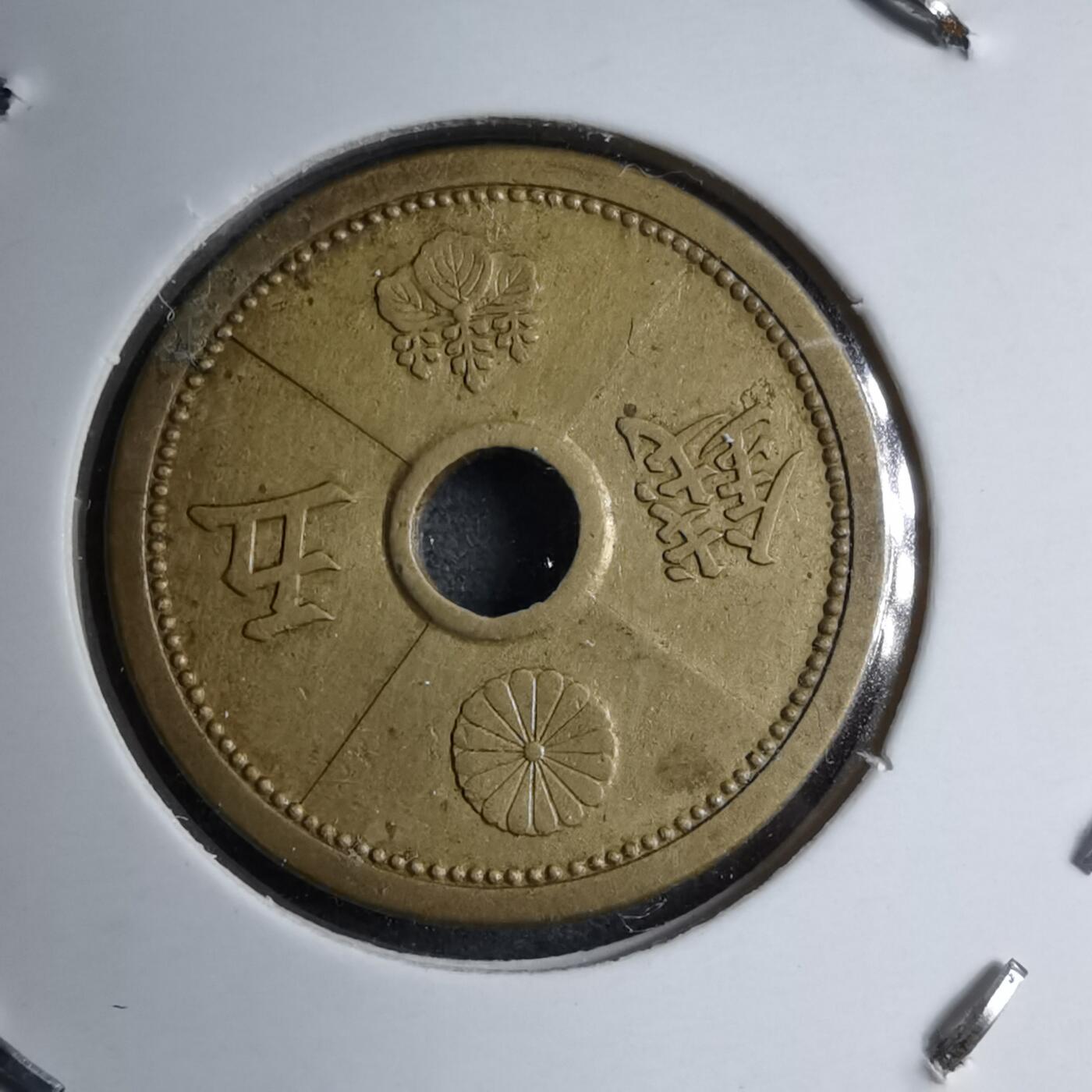 沼泽如烟--第891场