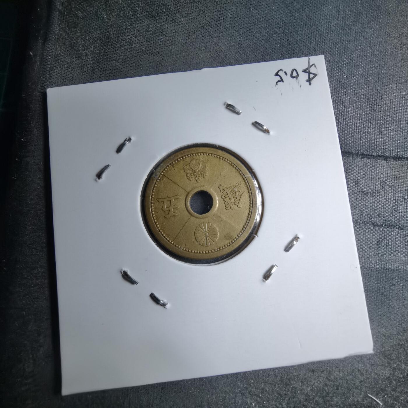 沼泽如烟--第891场